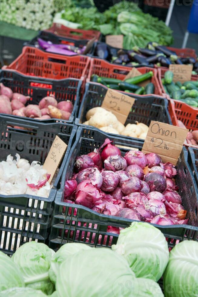 kleurrijk verscheidenheid van vers geplukt biologisch groenten Aan Scherm Bij de boeren markt. foto