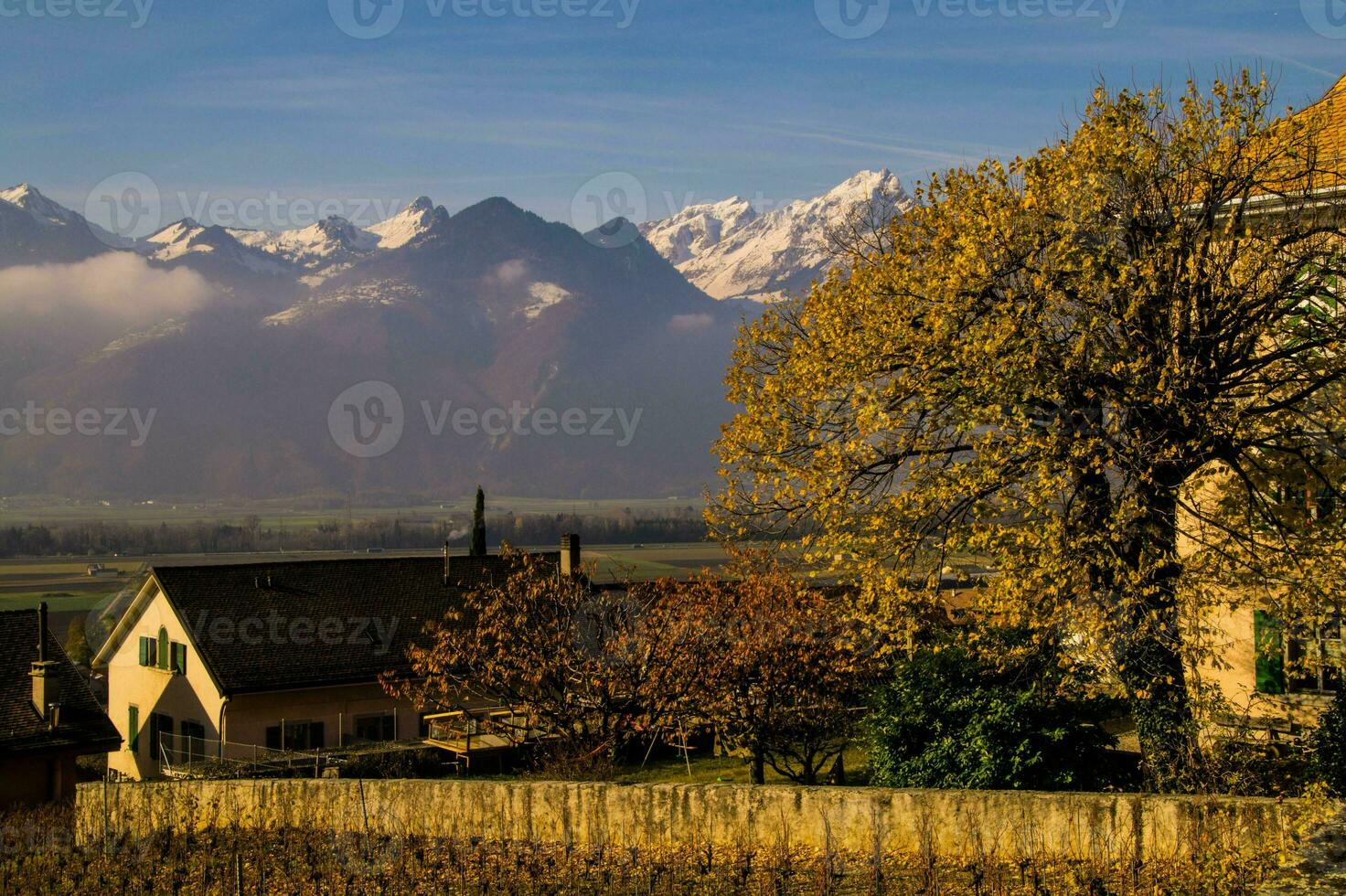 yvorne, in vaud, zwitsers foto