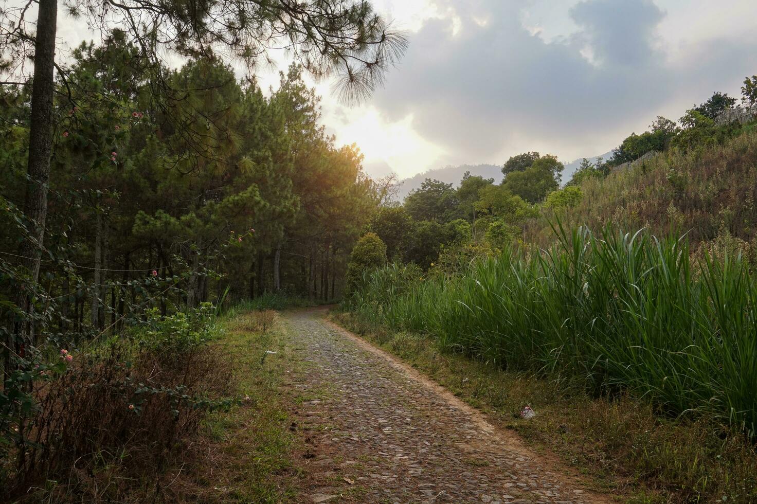 weg Aan de heuvel met zonsondergang atmosfeer in malang, oosten- Java, Indonesië foto