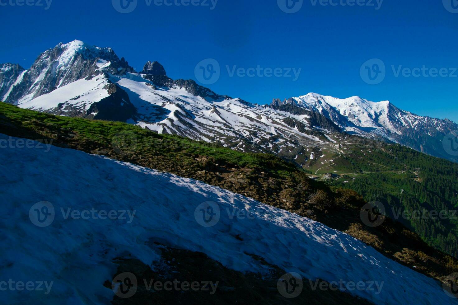 pecleret, arge, tiere, chamonix, hoog Savoie, Frankrijk foto