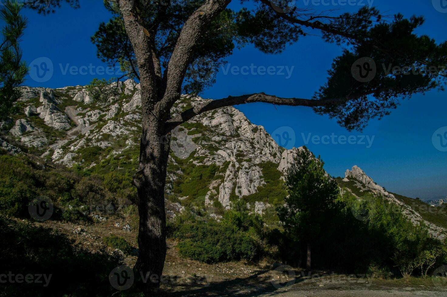 nationaal park calanques foto