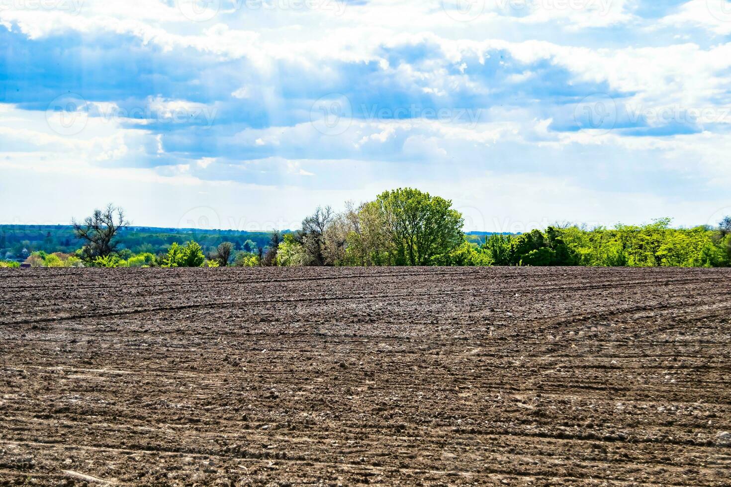 fotografie Aan thema groot leeg boerderij veld- voor biologisch oogst foto