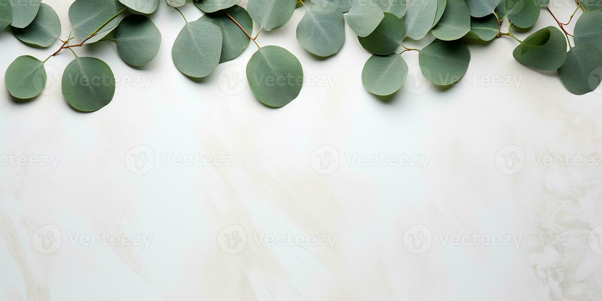 ai gegenereerd vlak leggen met eucalyptus takken en bladeren Aan een wit achtergrond. esthetisch kader van eucalyptus bladeren, grens foto