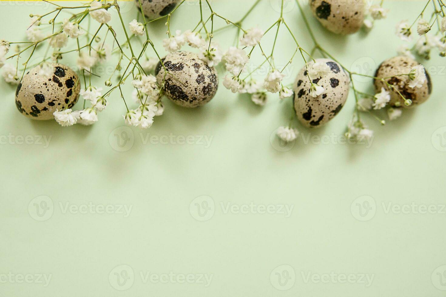 Pasen achtergrond, kwartel eieren Aan een munt achtergrond, versierd met natuurlijk botanisch elementen, vlak leggen, visie van bovenstaande, leeg ruimte voor tekst foto