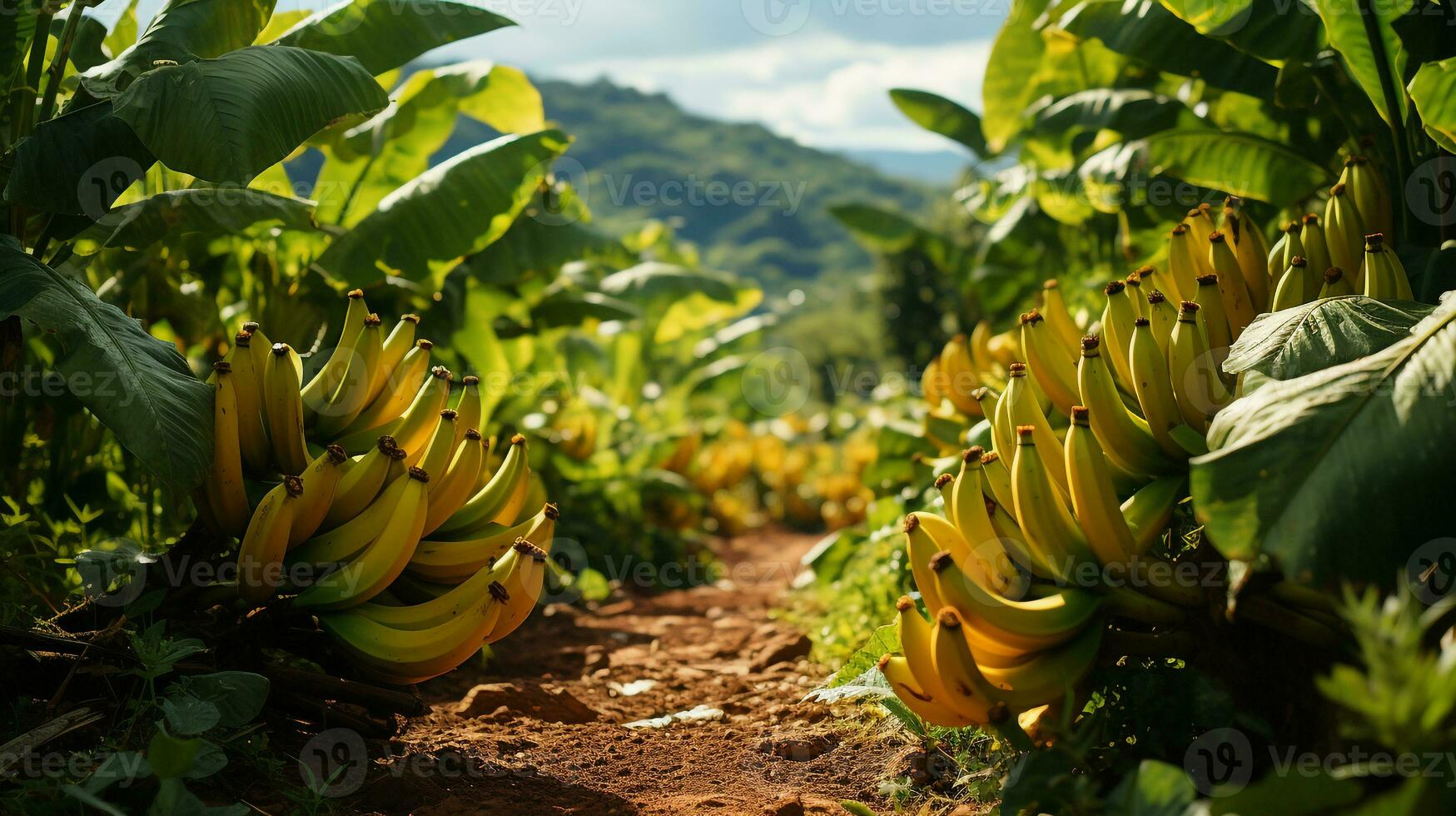 ai gegenereerd mooi visie van de banaan boom tuin foto