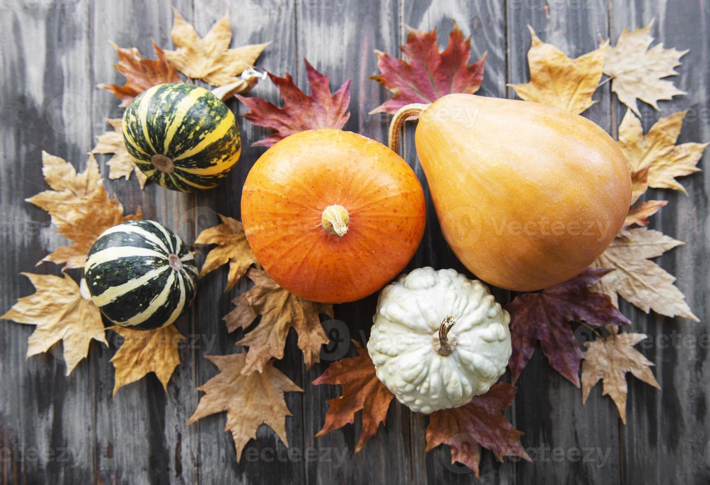 herfstcompositie met diverse pompoenen foto