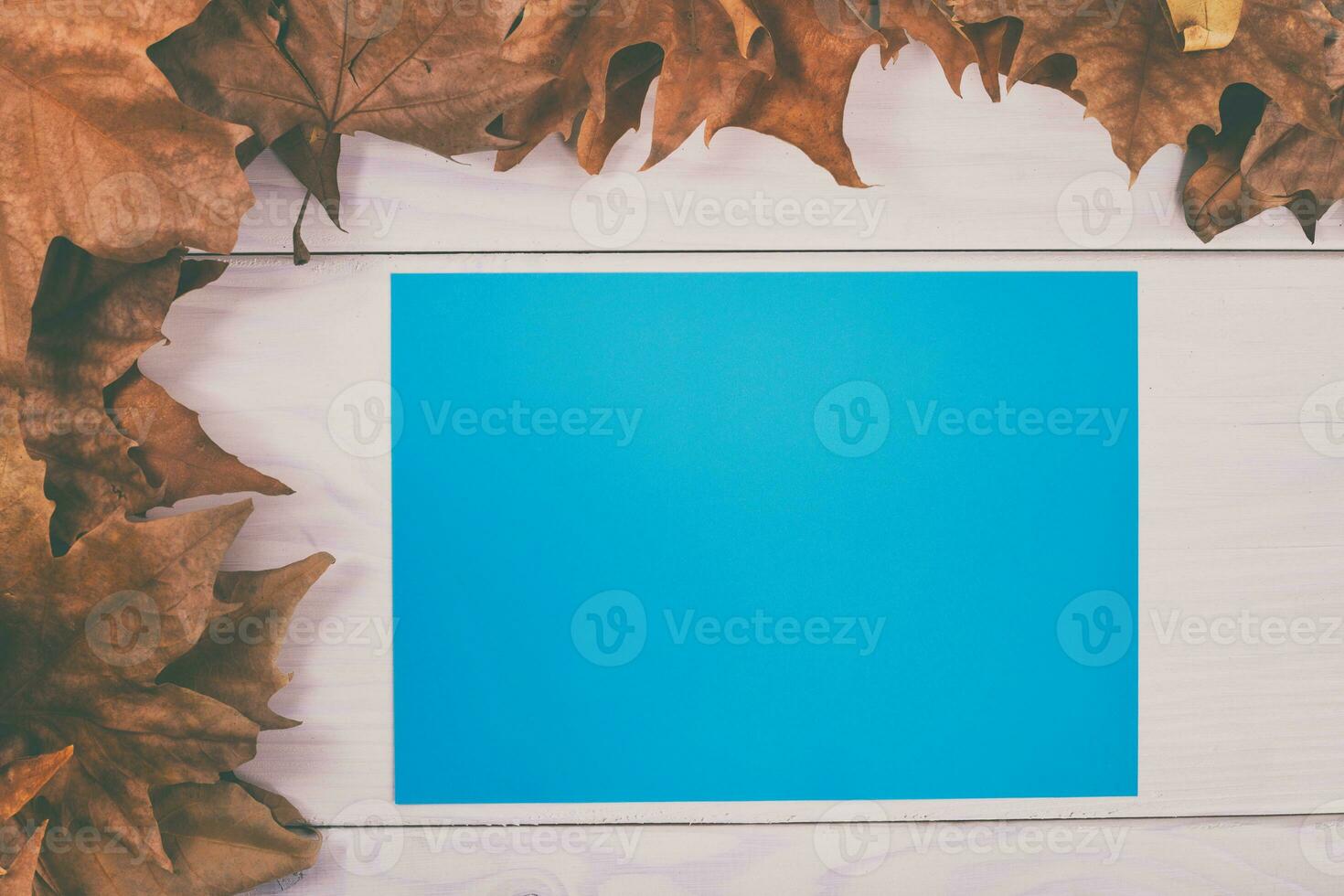 herfst bladeren en blauw papier Aan wit houten achtergrond foto