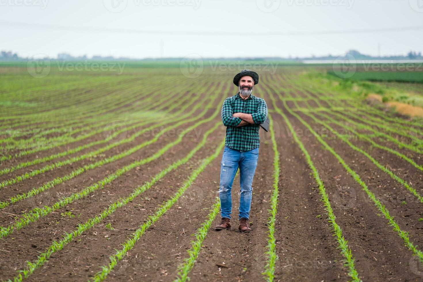gelukkig boer met digitaal tablet staand in zijn groeit maïs veld- foto