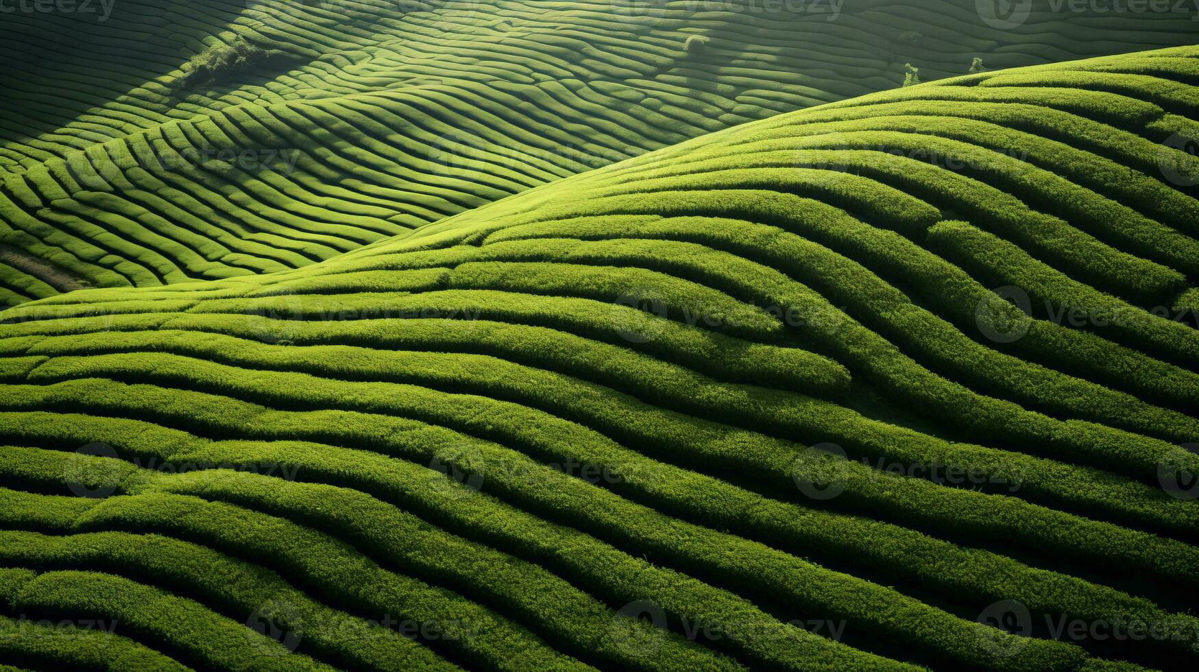 ai gegenereerd groen thee plantage, top visie structuur foto