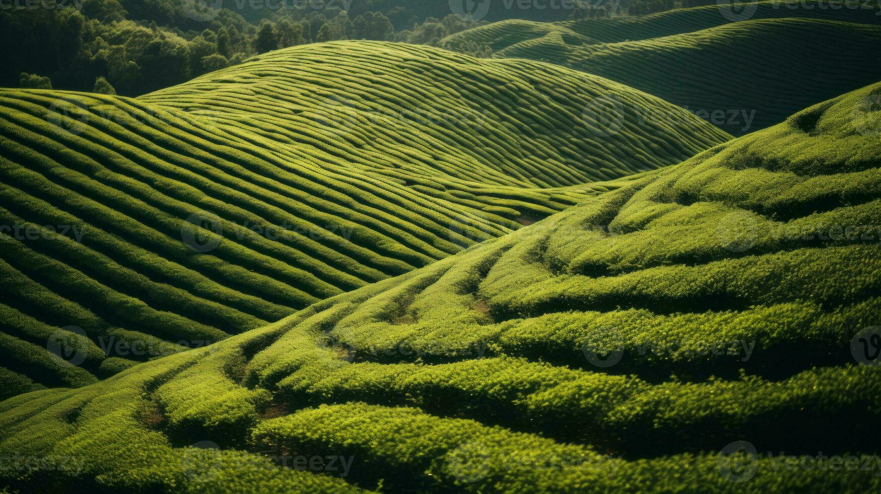 ai gegenereerd groen thee plantage, top visie structuur foto