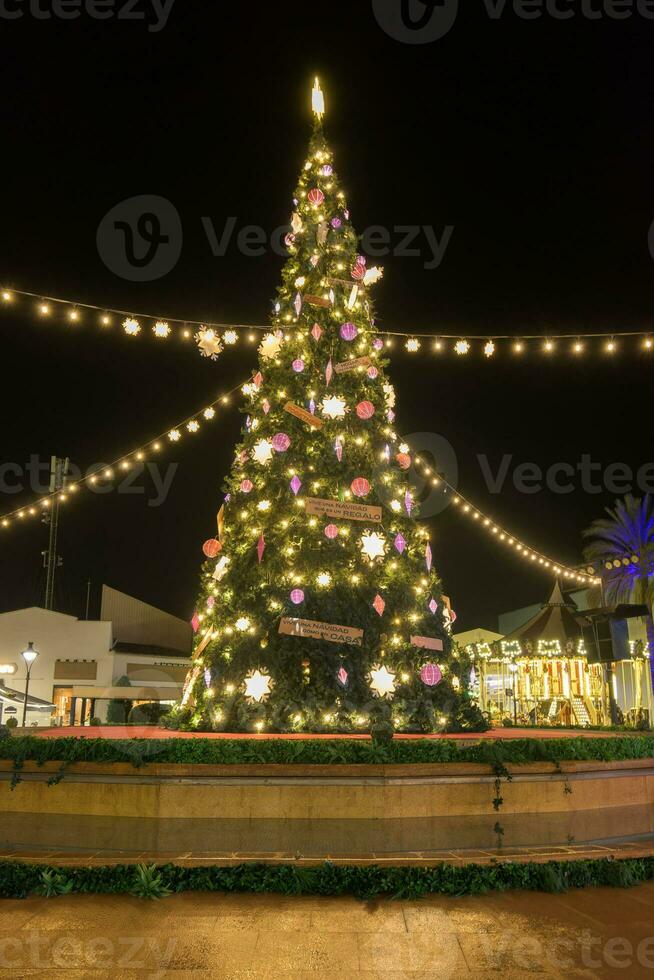 mooi Kerstmis boom in een stad- plein Bij nacht foto