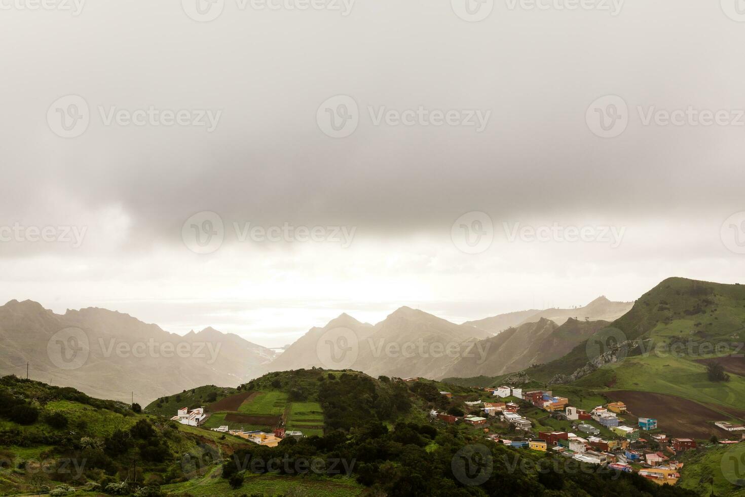 anaga noorden Woud in Tenerife eiland, kanarie eilanden, Spanje. foto