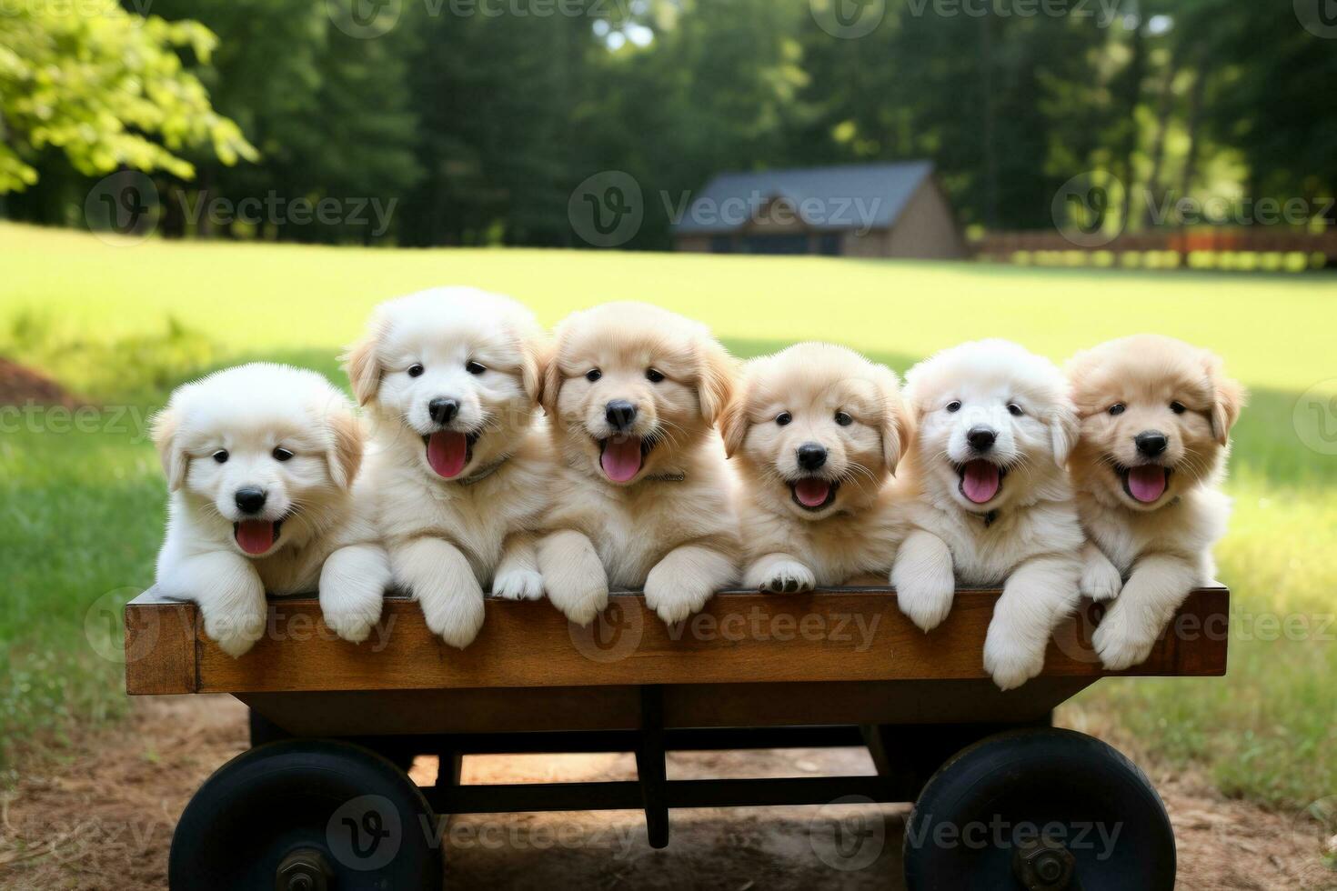 ai gegenereerd houten podium mockup staat leeg tegen een natuurlijk backdrop foto