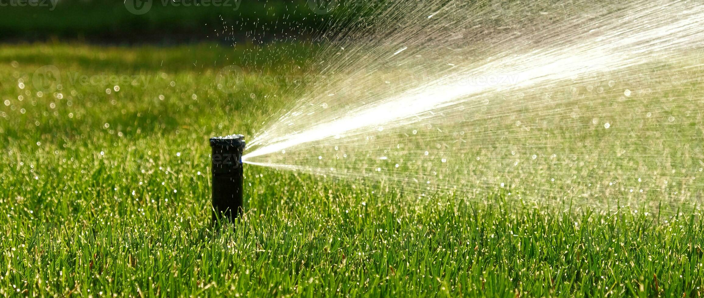 automatisch tuin irrigatie systeem gieter gazon met verstelbaar hoofd. automatisch uitrusting voor irrigatie en onderhoud van gazons, tuinieren. foto