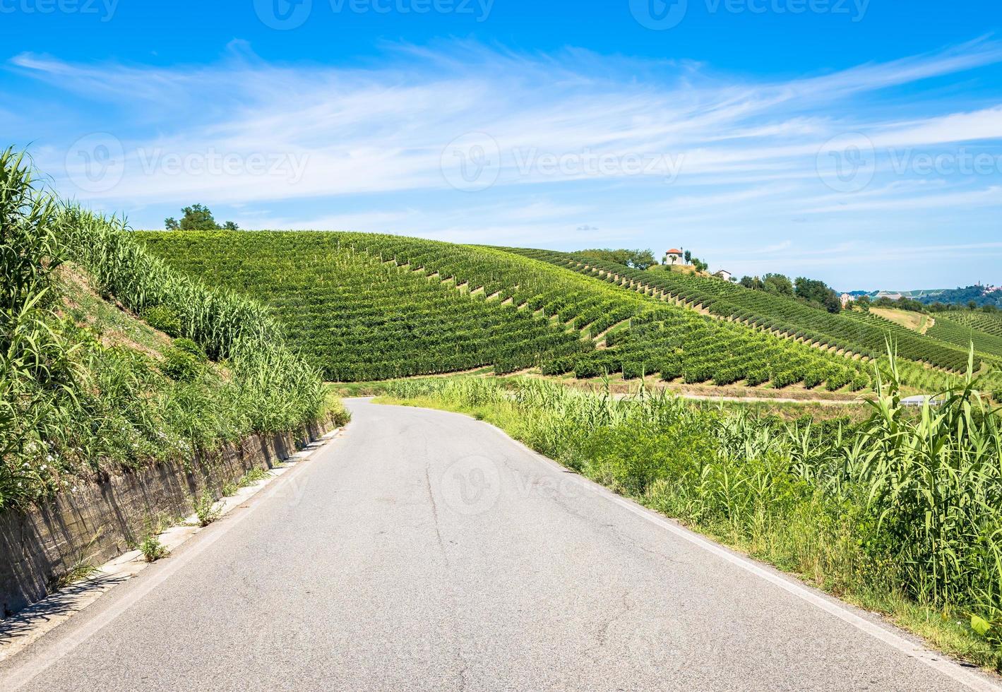 heuvels van piemonte in italië met schilderachtig landschap, wijngaardveld en blauwe lucht foto