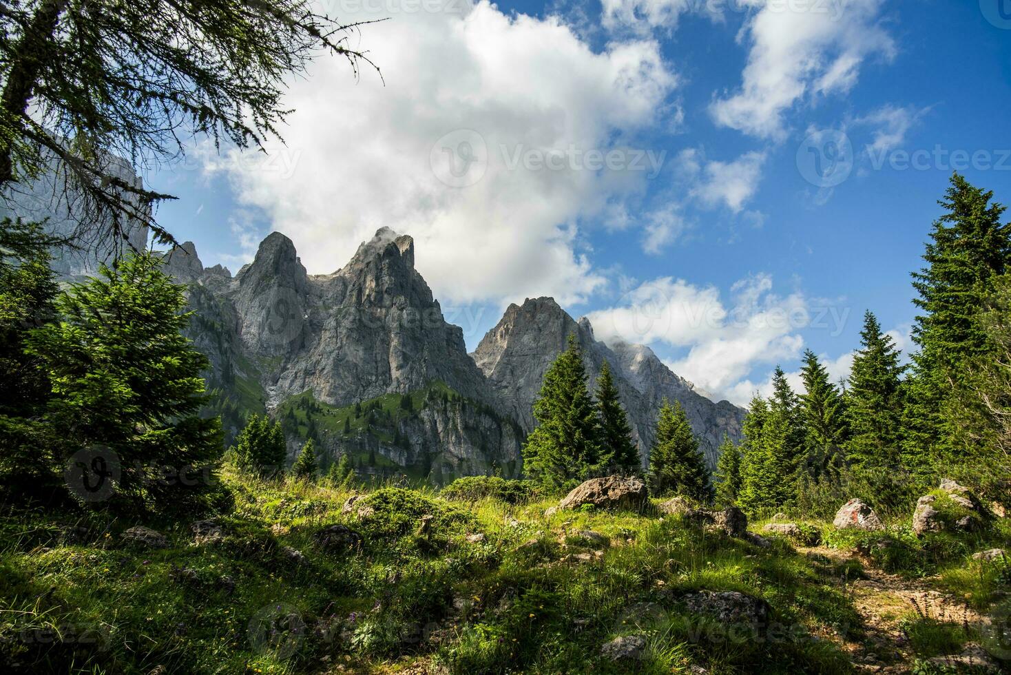 2023 07 09 gosaldo berg landschap 2.jpg foto