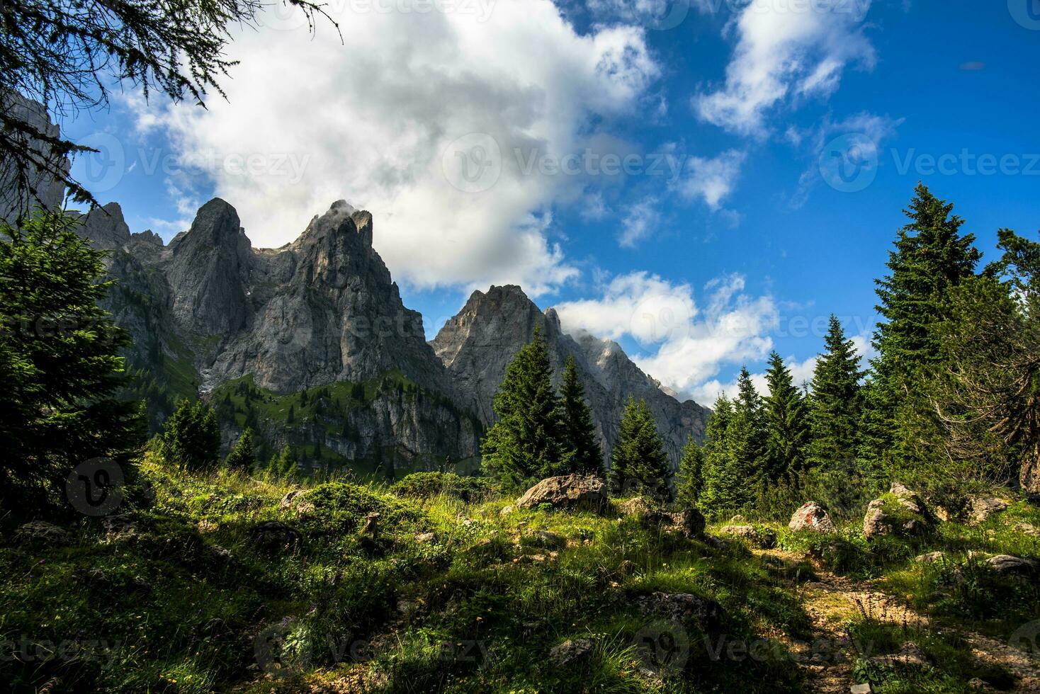 2023 07 09 gosaldo berg landschap 14.jpg foto