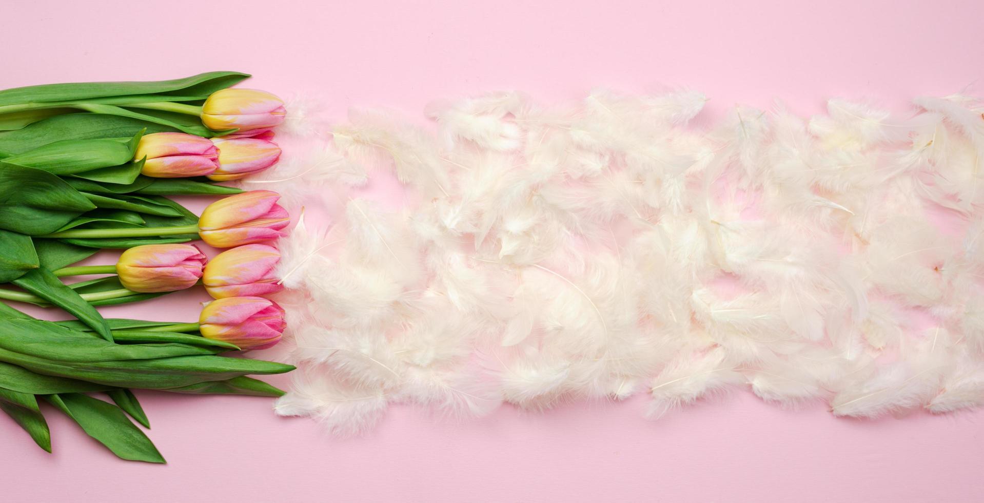 Pasen achtergrond met roze tulpen, witte veren foto