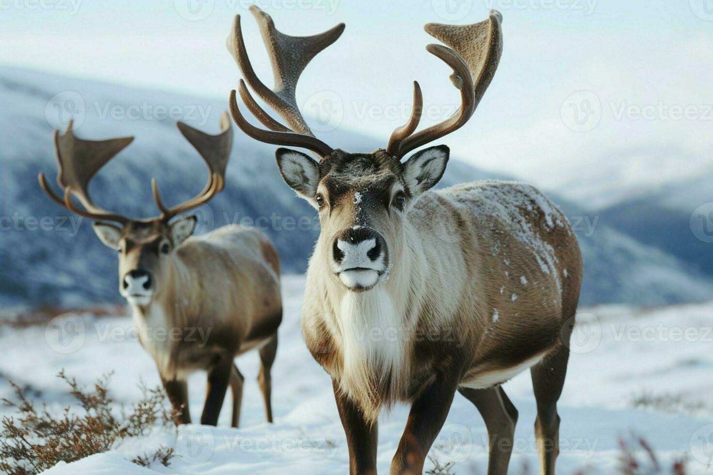 ai gegenereerd rendier in de voorjaar belichamen vernieuwing en van de natuur seizoensgebonden schoonheid ai gegenereerd foto