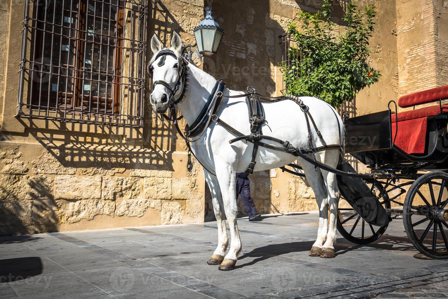 traditioneel paard en kar Bij Cordoba Spanje - reizen achtergrond foto