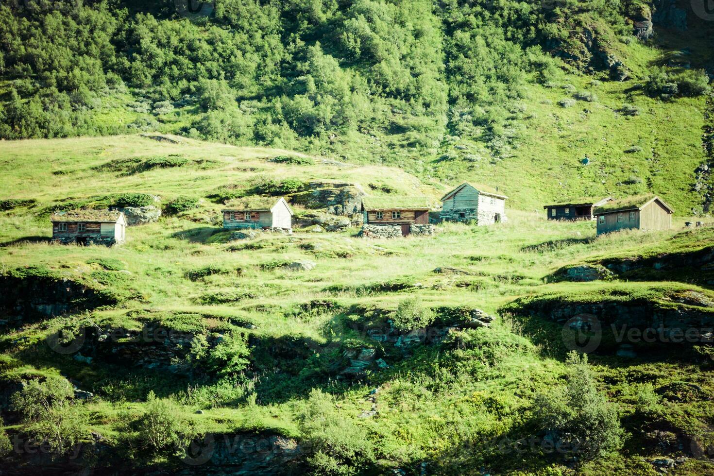 traditioneel Noorwegen huizen in de bergen foto