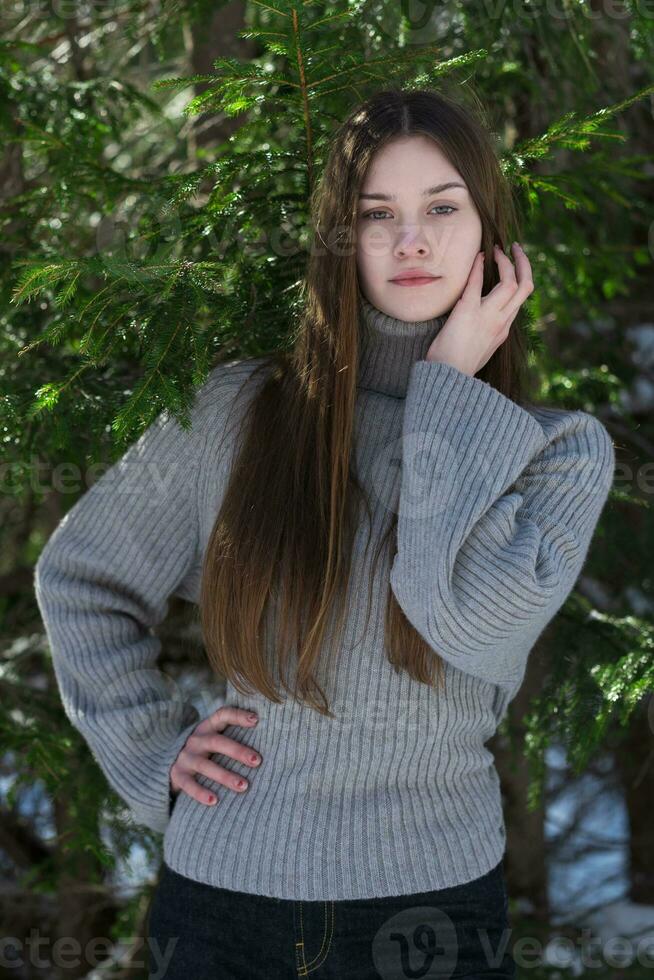 portret van tiener meisje staand in pijnboom Woud. brunette tiener in trui op zoek Bij camera foto