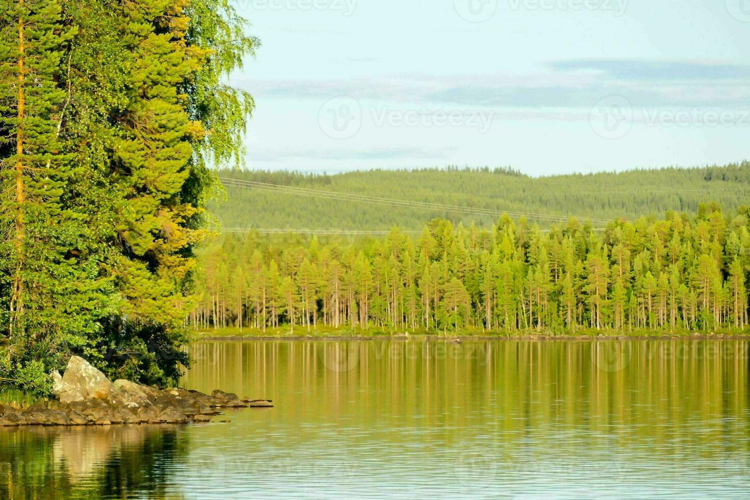 een meer omringd door bomen en Woud foto