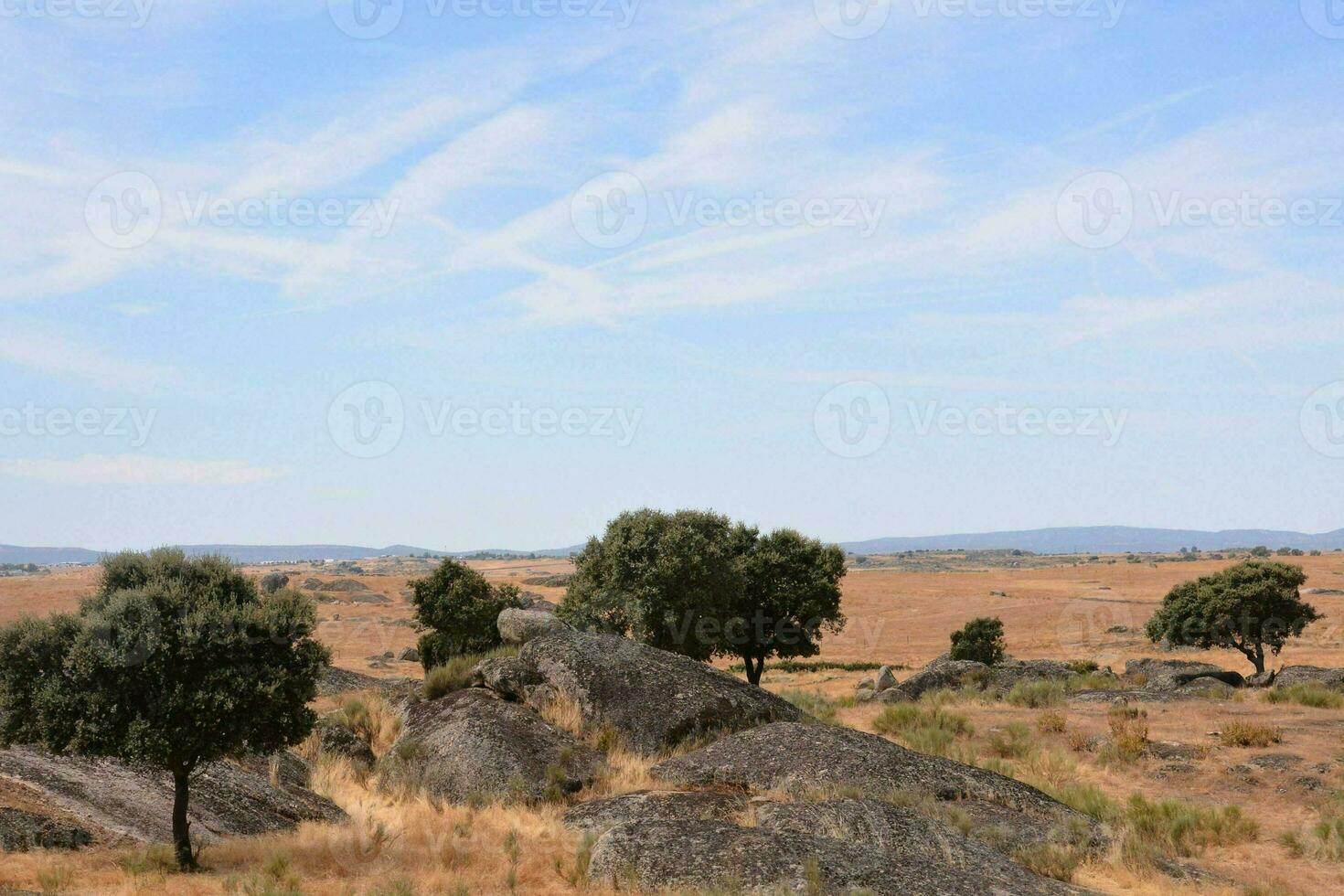 de landschap is droog en rotsachtig met bomen foto