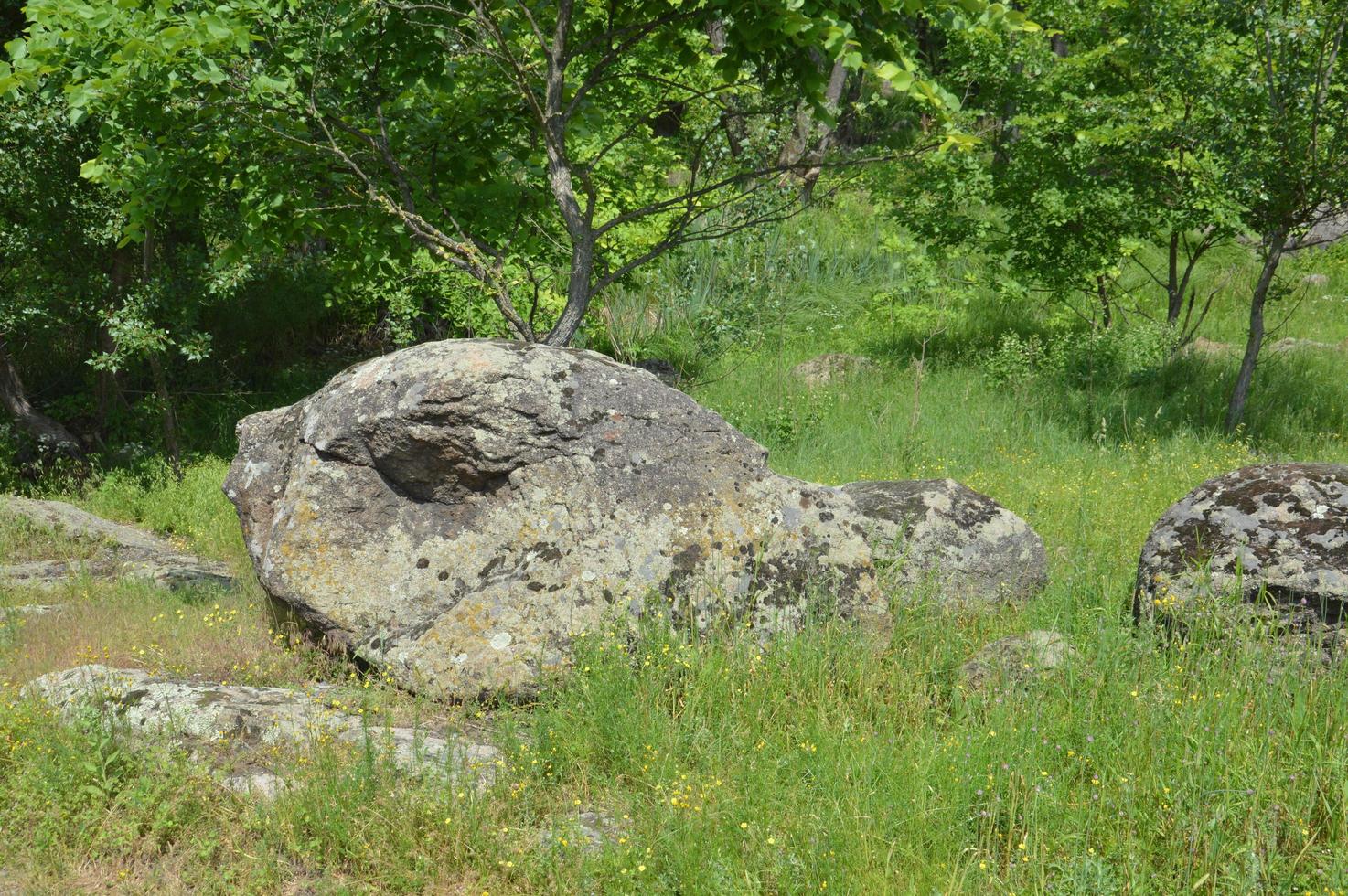 oude grote stenen in het veld foto