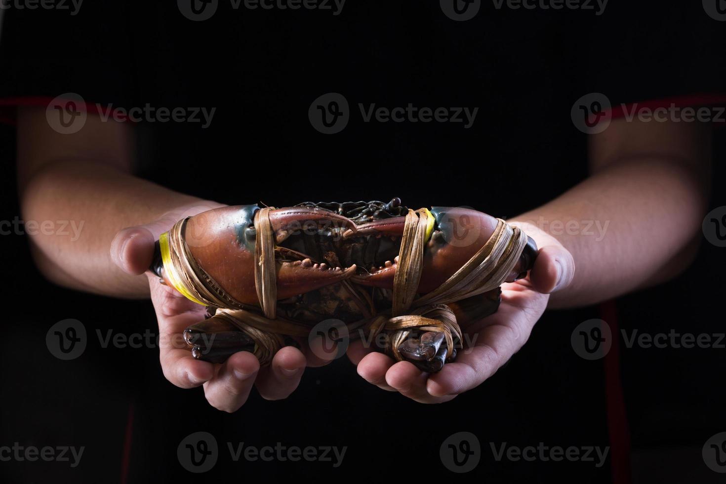 rauwe krab bij de hand foto