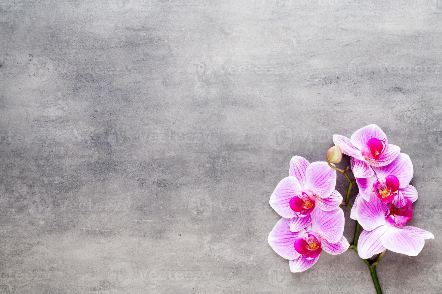 schoonheid orchidee op een grijze achtergrond. spa-scène. foto