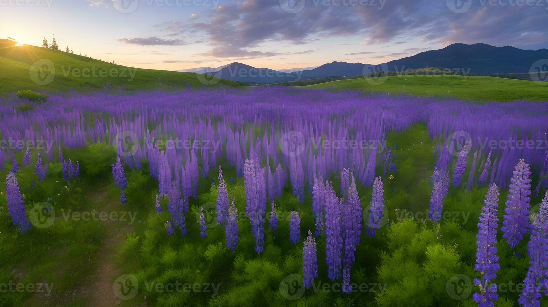 ai gegenereerd onthulling van de natuur Purper symfonie, een grenzeloos reis door een zee van wild lupine. ai gegenereerd foto