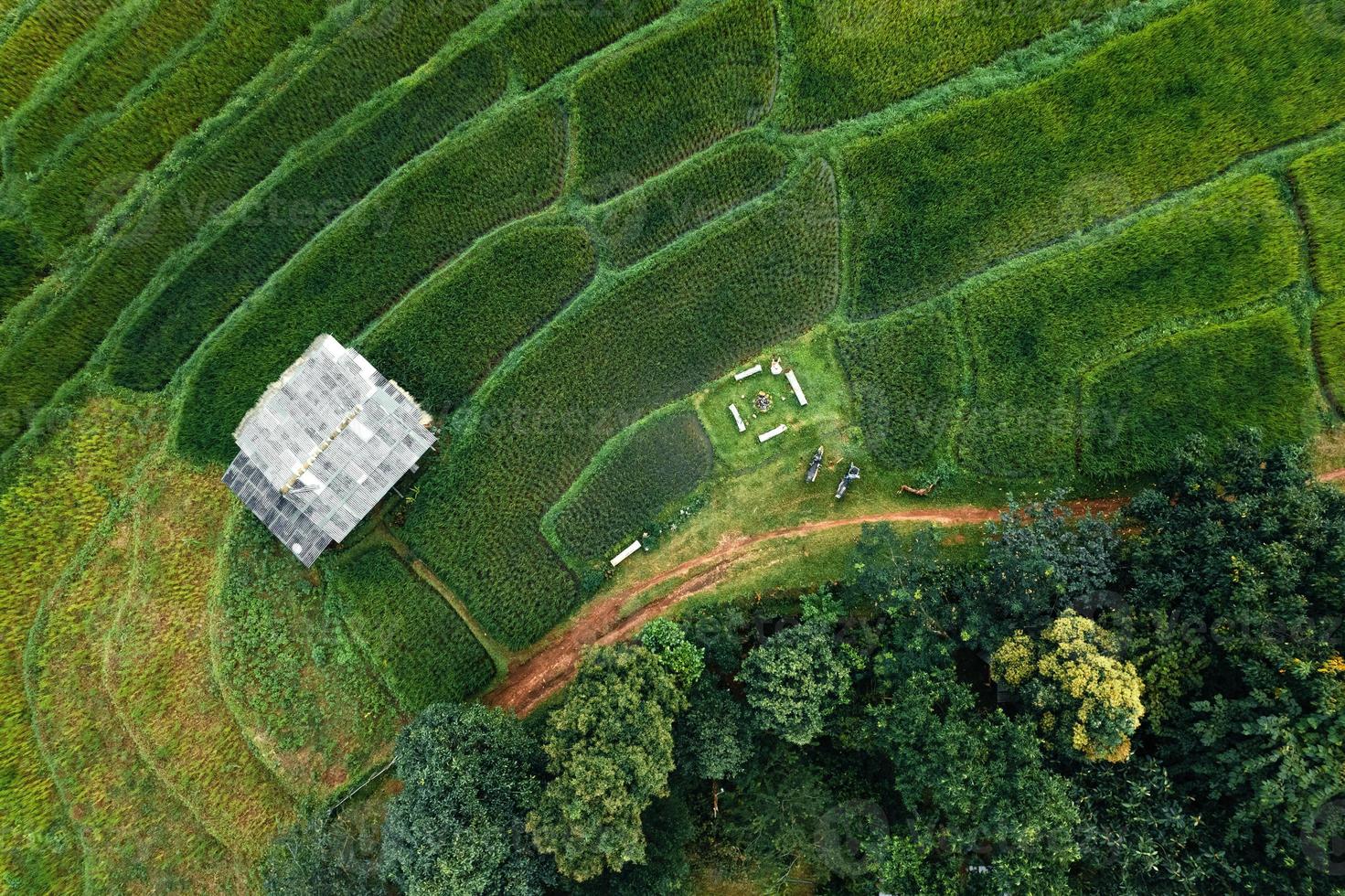 groene rijstvelden in het regenseizoen van bovenaf foto