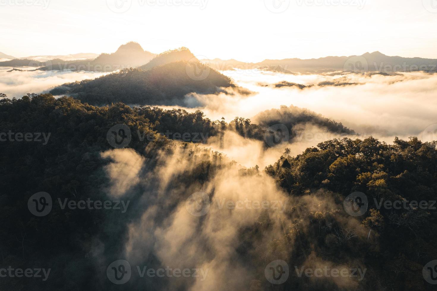 bergen en ochtendmist in tropisch bos foto