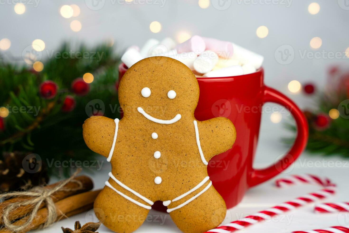 kop van eigengemaakt heet chocola met marshmallows en peperkoek Mens Aan de tafel. Kerstmis traktatie voor de kerstman. foto
