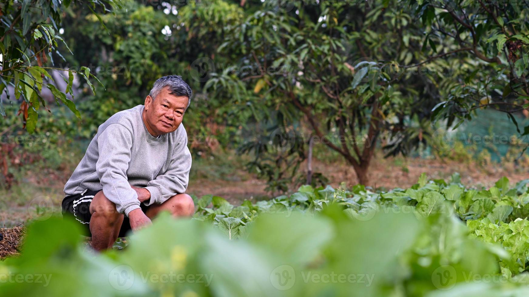 een senior boer kijkt trots naar de camera in het groenteveld. foto