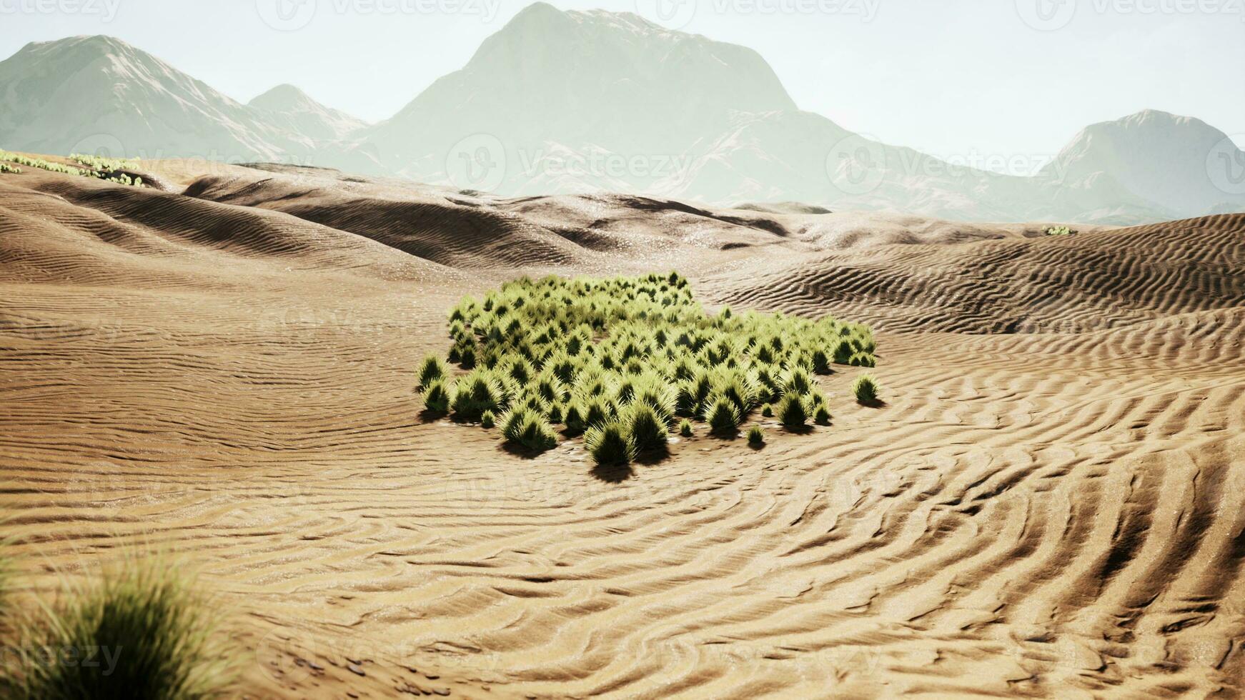 zand woestijn met sommige gras foto
