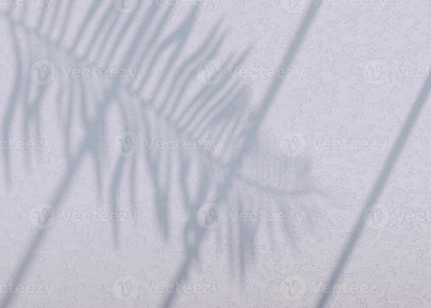 abstracte achtergrond van schaduwen palmbladeren op een muur. 3D-rendering. foto
