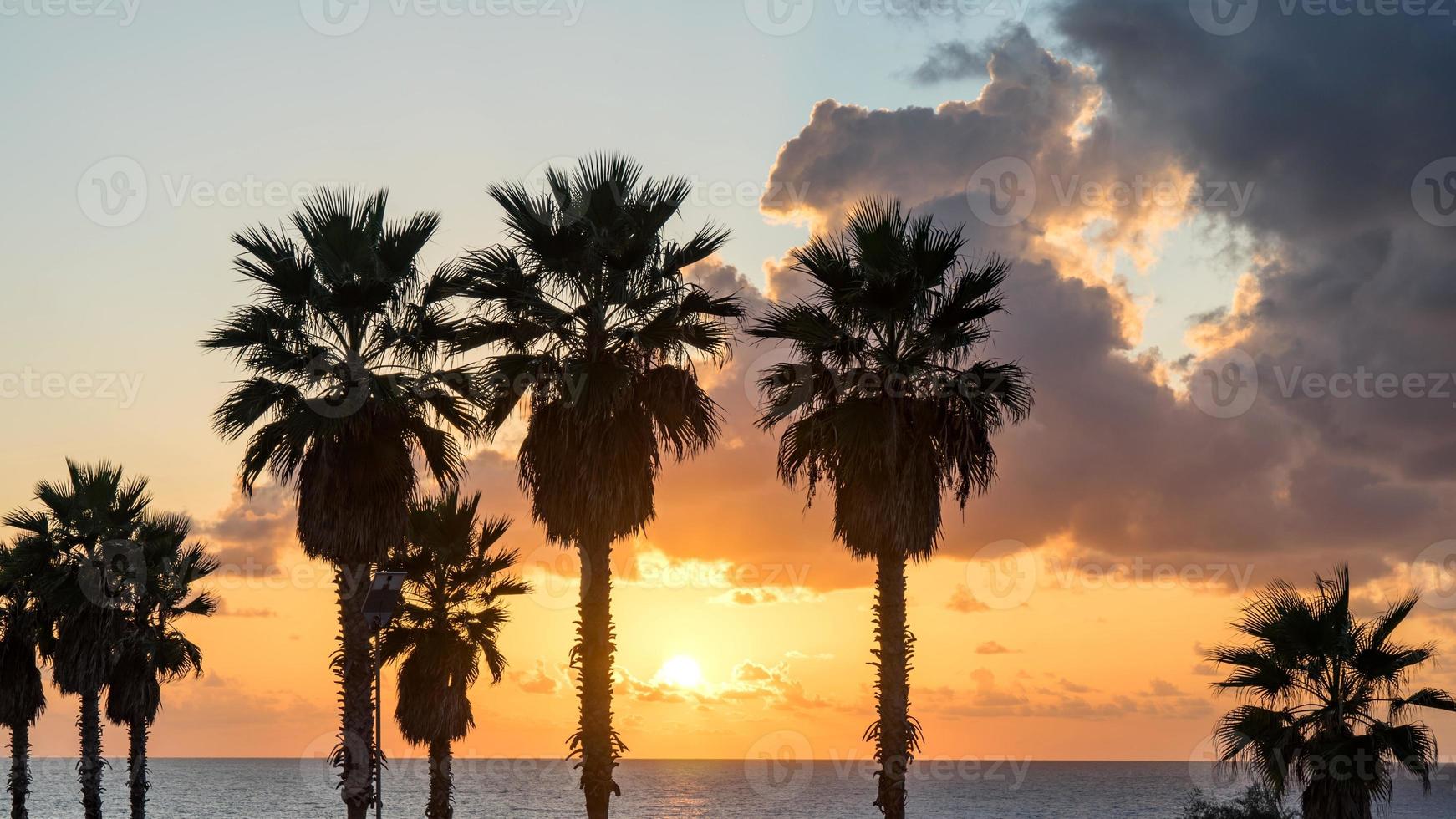 palmboom op het strand tegen kleurrijke avondrood met wolken. tel aviv, Israël. foto