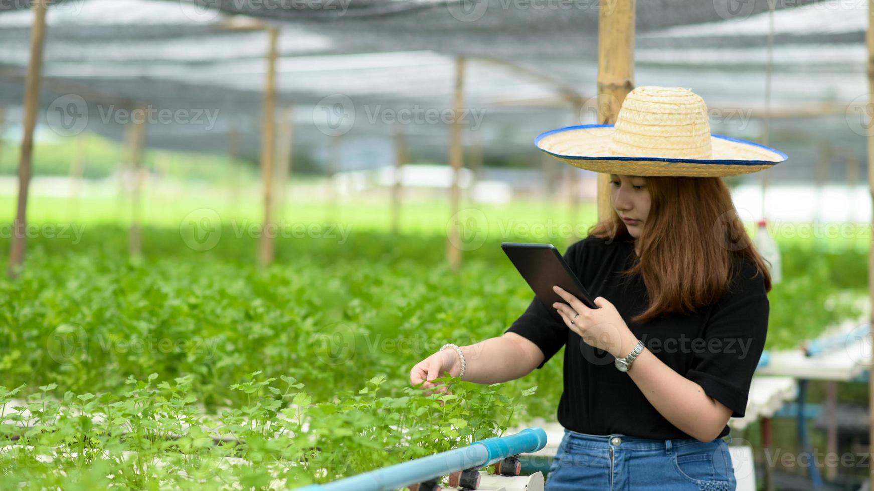 een tienermeisjesboer die een tablet gebruikt, zorgt en inspecteert groenten in een kas. foto