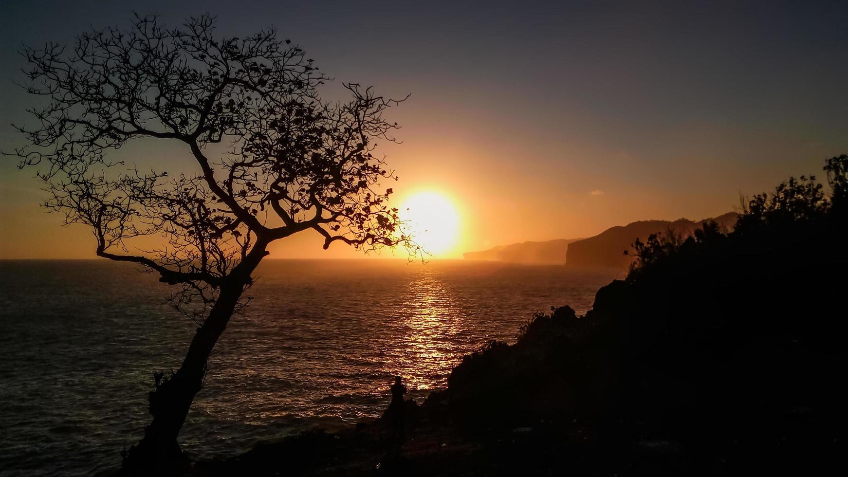 prachtige zonsondergangen met zee en een boom foto