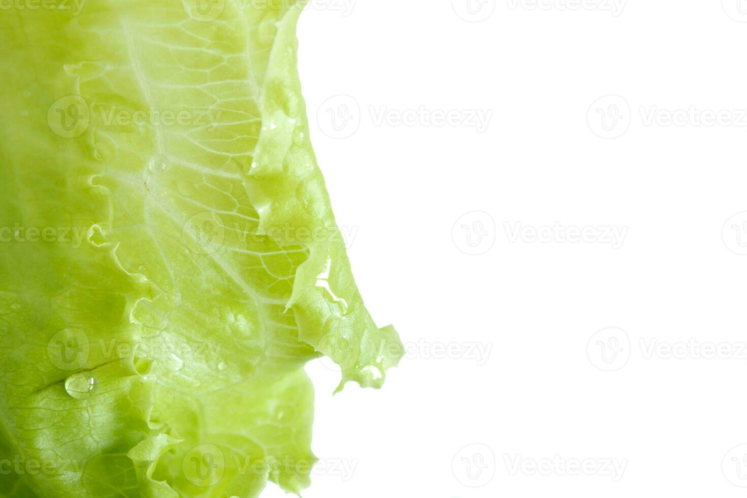 groen sla salade Aan wit achtergrond foto