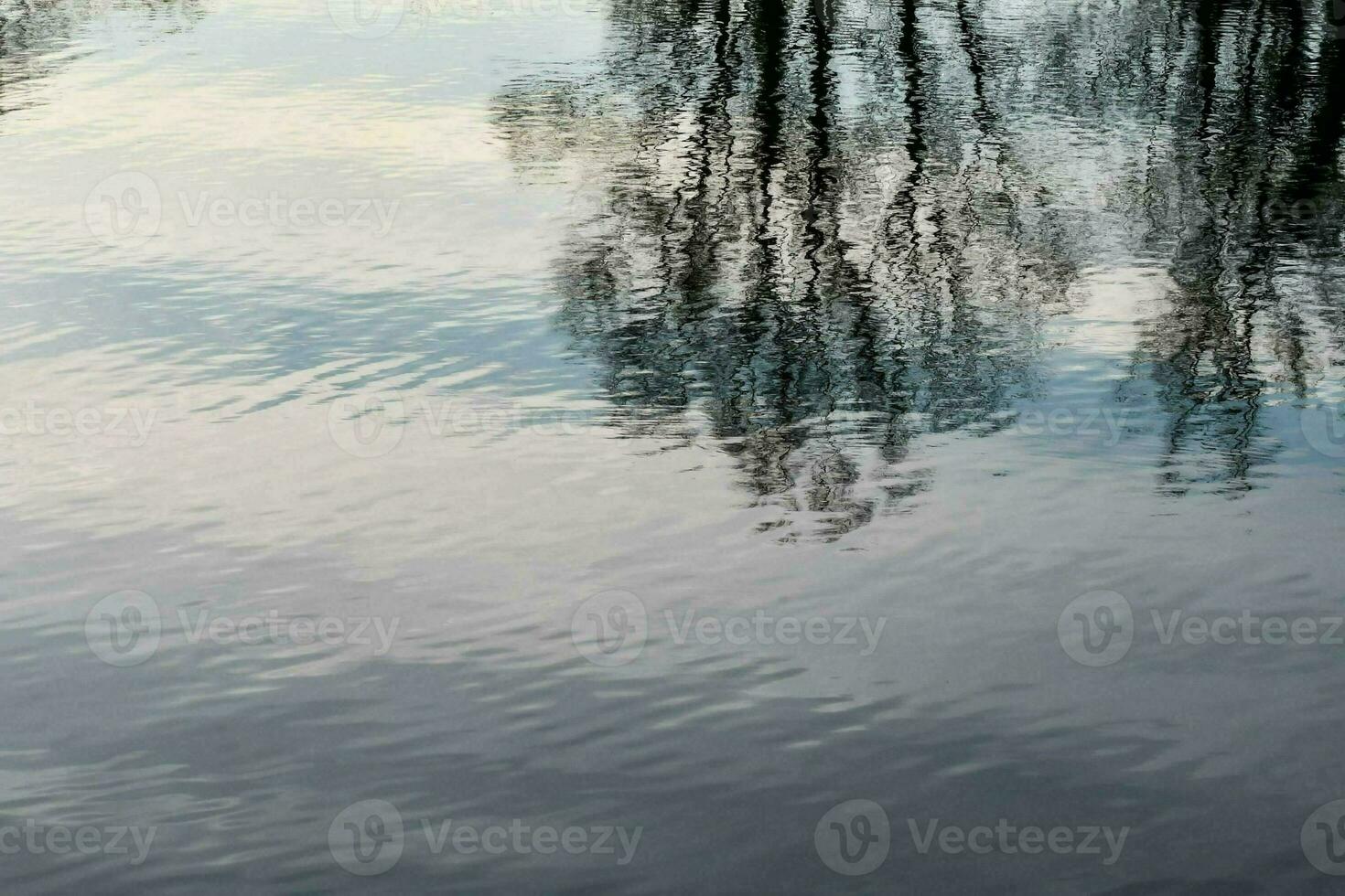 weerspiegeling van bomen in water foto