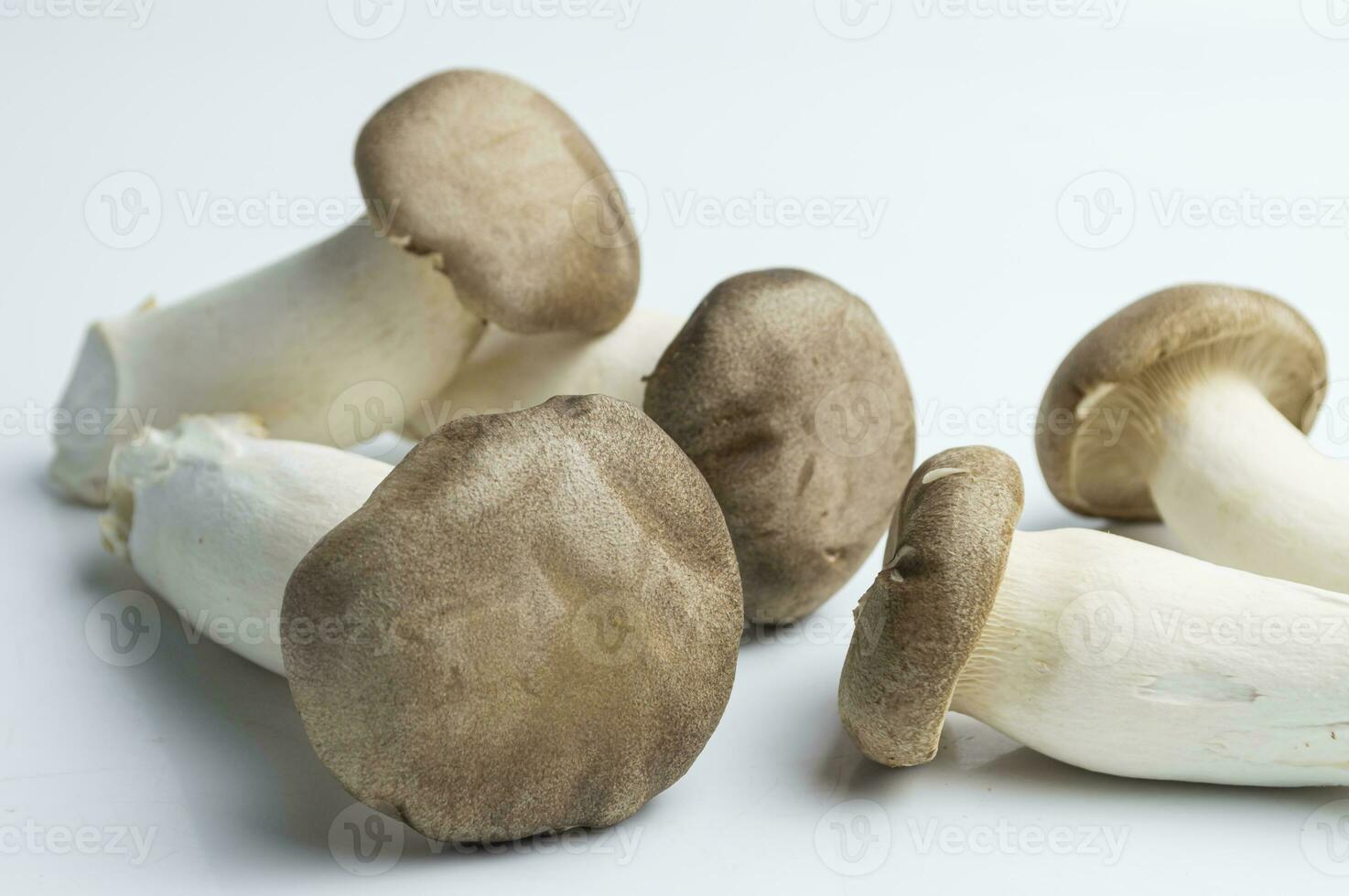 champignons Aan een wit oppervlakte foto