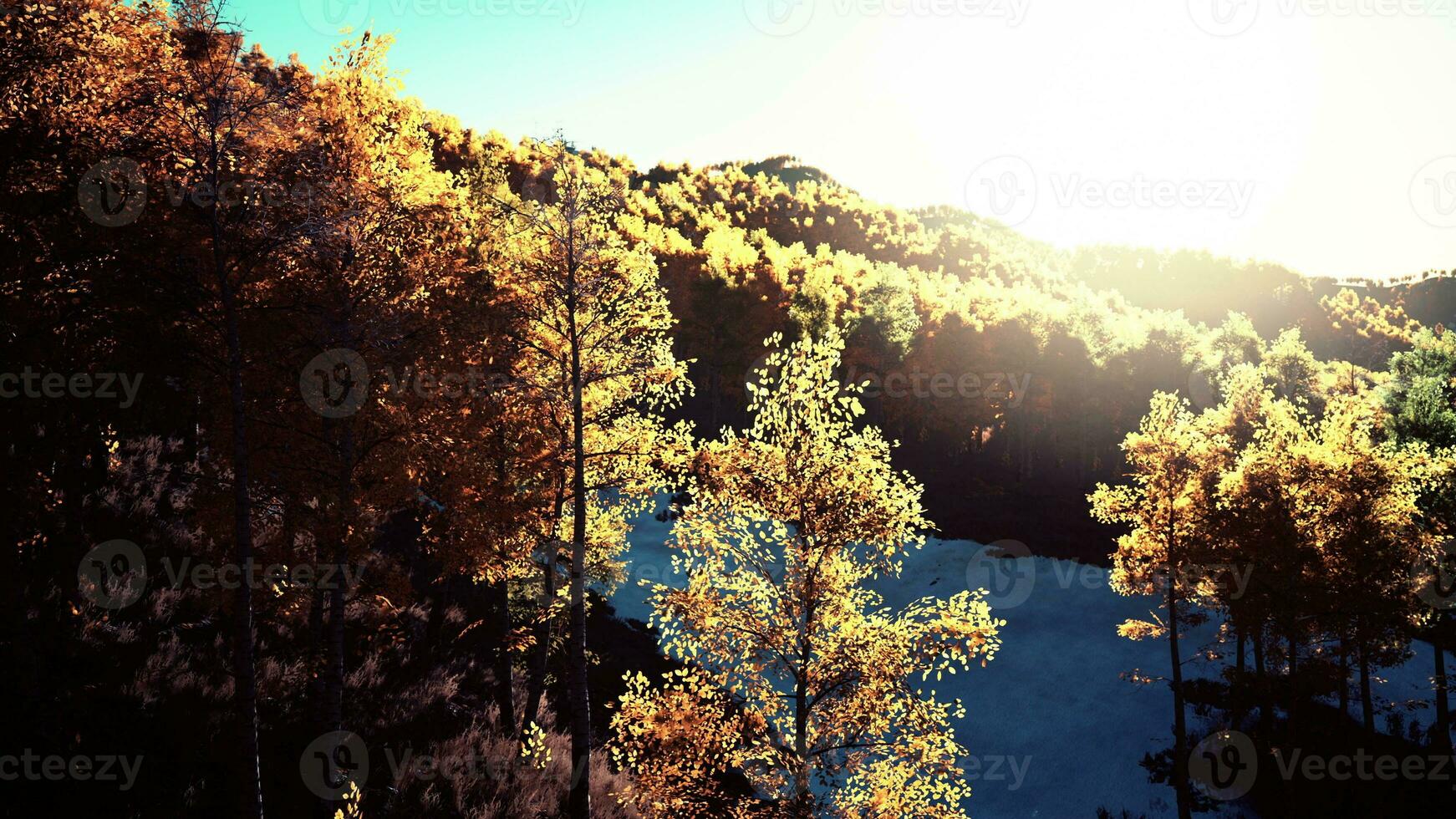 vallei met herfstbomen tussen de bergen verlicht door de zon bij zonsondergang foto