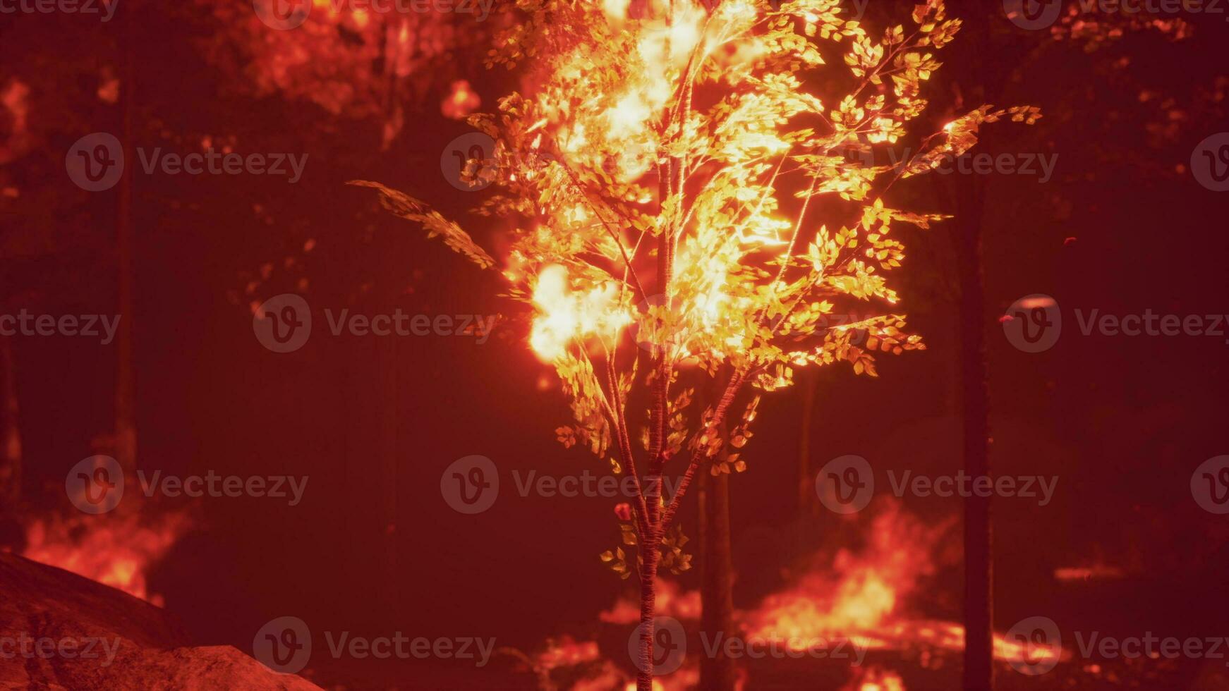 intens vlammen van een enorm Woud brand foto