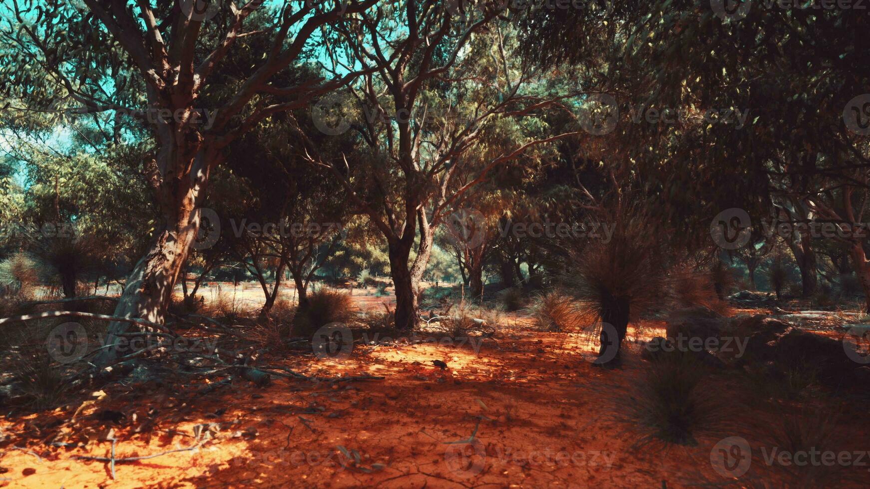 zuiden Afrika landschap met groen bomen foto