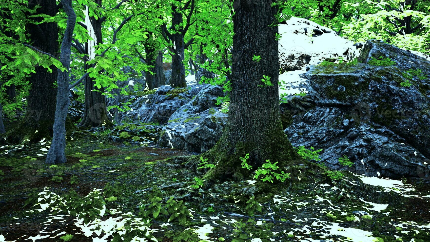 een dicht en levendig Woud gevulde met een overvloed van weelderig groen bomen foto