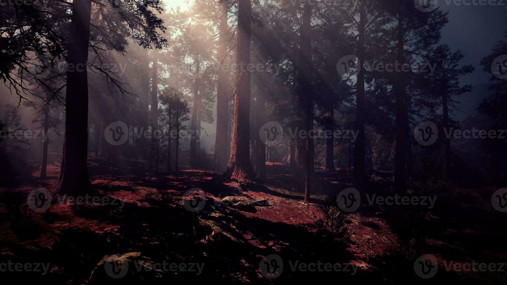 een dicht en majestueus Woud met torenhoog bomen bereiken naar de lucht foto