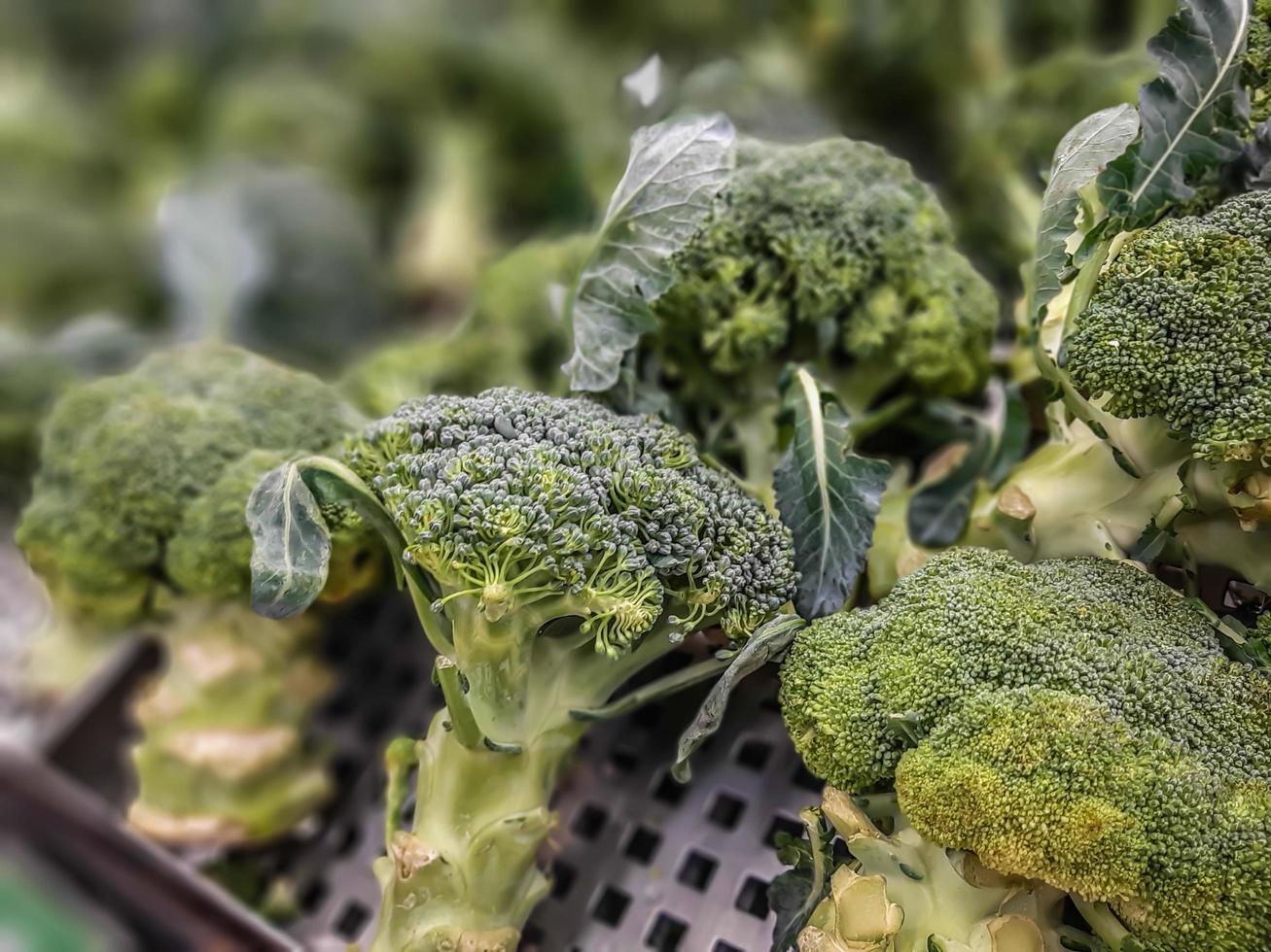 verse broccoli in een stapel bij supermarkt, gezonde verse groene rauwe broccoli. achtergrond, textuur. foto